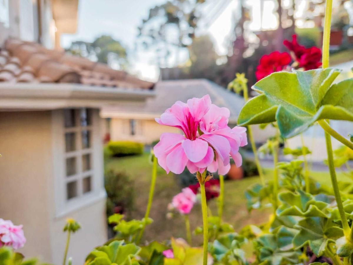 Pousada Nacional Inn Campos do Jordão Exteriér fotografie